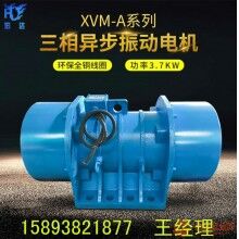 YJDX-40-6三相異步振動電機 振動力40KN